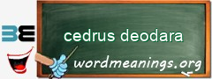 WordMeaning blackboard for cedrus deodara